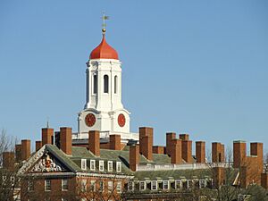 Dunster House roofline - Harvard University - DSC03005