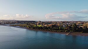 Elevated view across the Tāmaki River, 2022