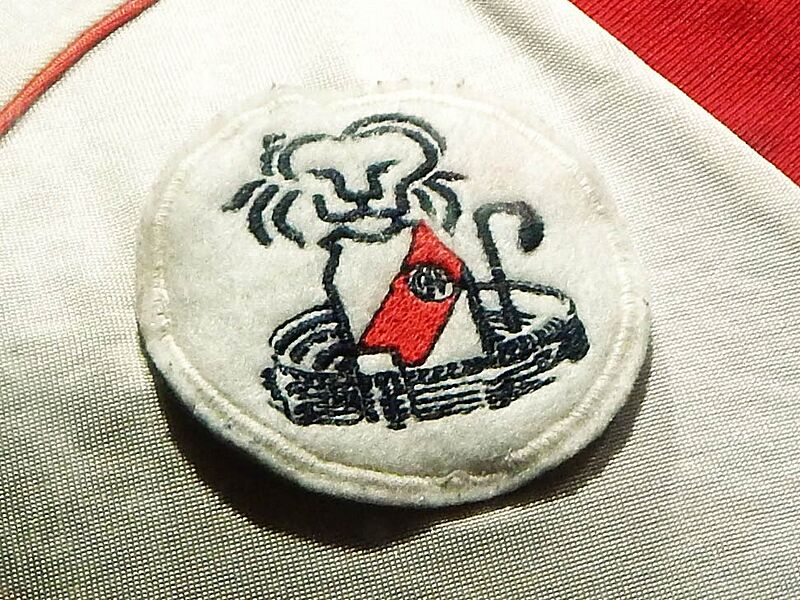 Emblema leon camiseta river