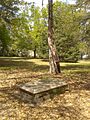 Eutaw Springs Battlefield Park - 2
