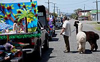 Christmas parade in Featherston incorporating New Zealand iconography and flora