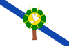 Flag of Morelia, Caquetá