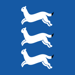 Flag of Southern Ostrobothnia