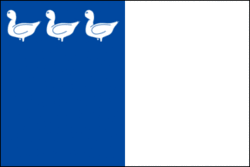 Flag of Thuin.gif