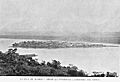 Flores1897c