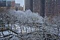 Fluffy Snow In Tudor City