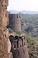 Fort Rohtas