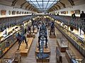 Galeries d'Anatomie comparée et de Paléontologie. Paris