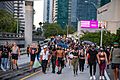 George Floyd Protests, Miami, June 12 (50000042808)