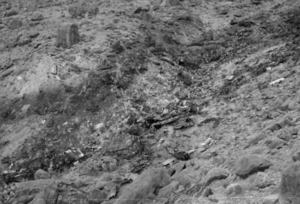 Grand Canyon 1956 Crash Site NHL