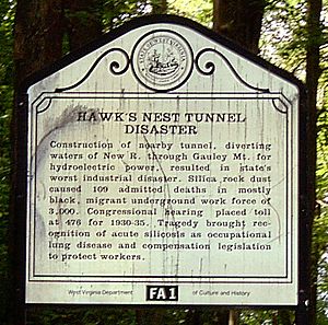 Hawks Nest Tunnel Disaster (cropped)