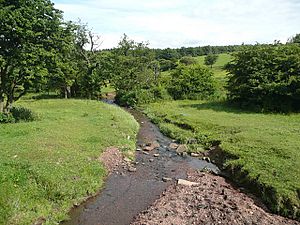 Holme Beck, Scholebrook Lane, Tong - geograph.org.uk - 1381765.jpg