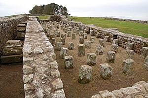 Housesteads granaries