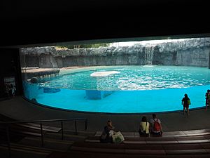 Inuka's enclosure in September 2015