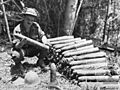 Ioribaiwa shells (AWM 026832)