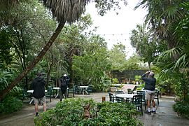 Key West Tropical Forest & Botanical Garden 13-14 January 2021--Florida