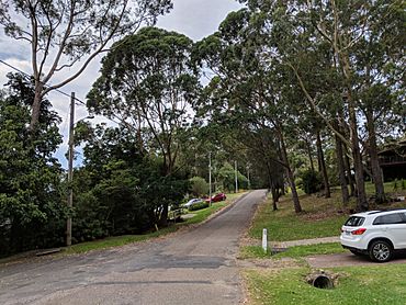 Kings Point, New South Wales.jpg