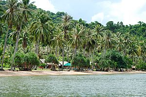 A beach on Koh Thonsay