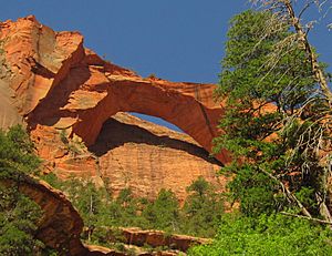 Kolob Arch 3a.jpg