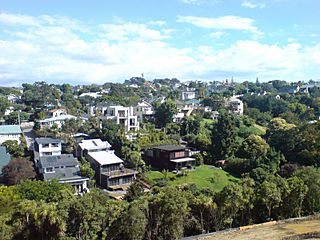 Looking Southeast Over Northern Remuera