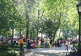 Madison Square Park on a summer morning