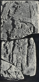 Maler Researches in the Central Portion of the Usumatsintla Valley Plate XVIII 2
