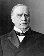 Black-and-white photographic portrait of William McKinley