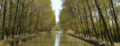 Medina de Rioseco (Valladolid) Canal de Castilla, ramal de Campos (RPS 03-05-2009)