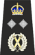 Metropolitan Deputy Commisioner Insignia (Tudor Crown).svg