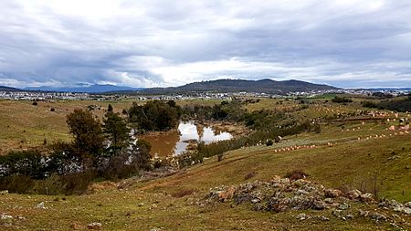 Molonglo River from Barrer Circuit Trailhead