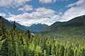 Mt. Rainier
