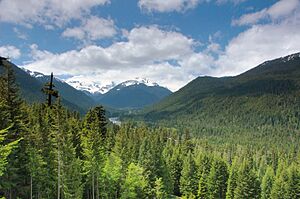 Mt. Rainier
