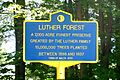 New York State historic marker - Luther Forest
