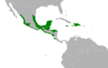 Nyctibius jamaicensis map