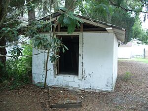 Orange Springs FL Green House site01