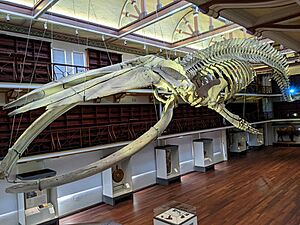 Otto WA Museum