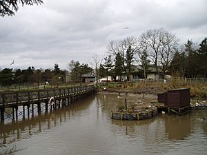 Palacerigg Country Park - geograph.org.uk - 138609