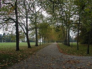 Park of the chateau of Copper