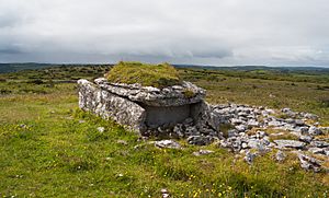 Parknabinnia Wedge Tomb Cl 67 NE 2015 09 03.jpg