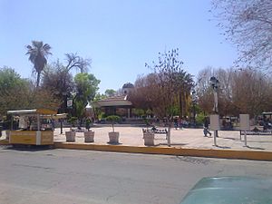 Main Square of Gómez Palacio