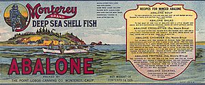 Point Lobos abalone label 1905