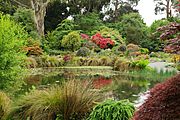 Pond in front of Rock Garden in Christchurch Botanic Gardens