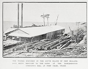 Port Craig sawmill and tramway