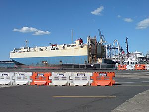 Ports of Auckland RORO Ship