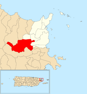 Location of Río Arriba within the municipality of Fajardo shown in red