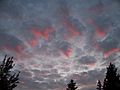 Red Color in Gray Clouds