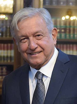 Reunión con el Presidente Electo, Andrés Manuel López Obrador 8 (cropped)