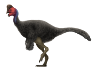 Rinchenia Restoration.png