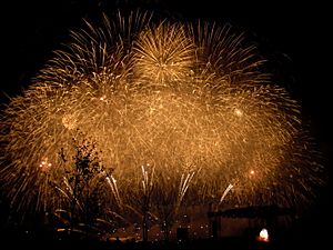 Seoul international fireworks festival 2011-001