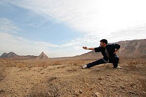 Shaolin Kung Fu In Iran- Photo By 2007-Mostafa meraji 08